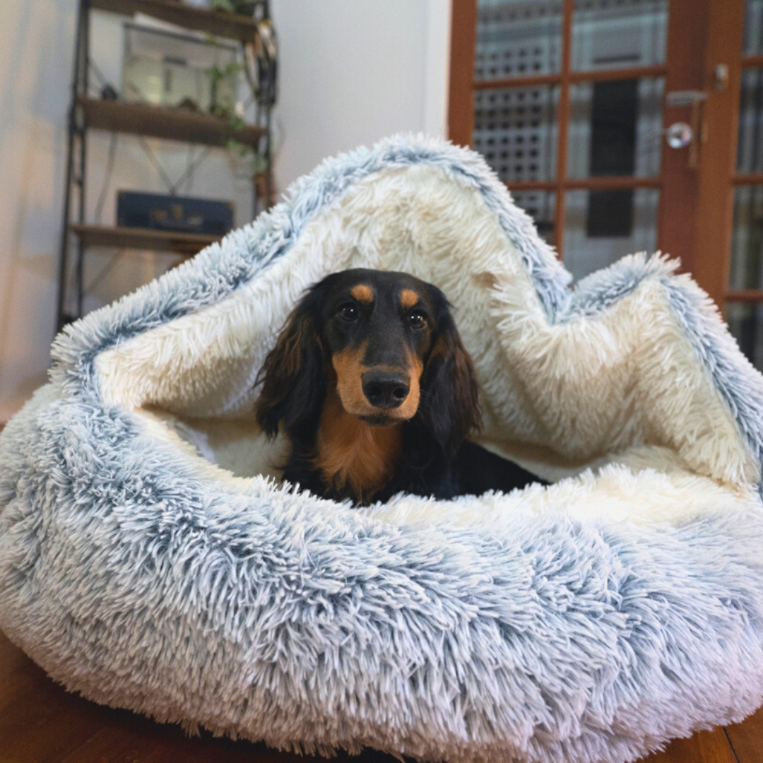 Snuggle Cave Smiling Paws UK